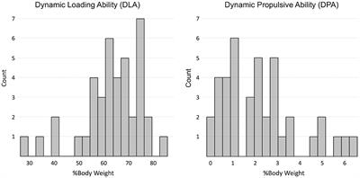 Indices of Loading and Propulsive Ability in the Gait of Patients With Chronic Stroke With Equinus Foot Deviation: A Correlation Study